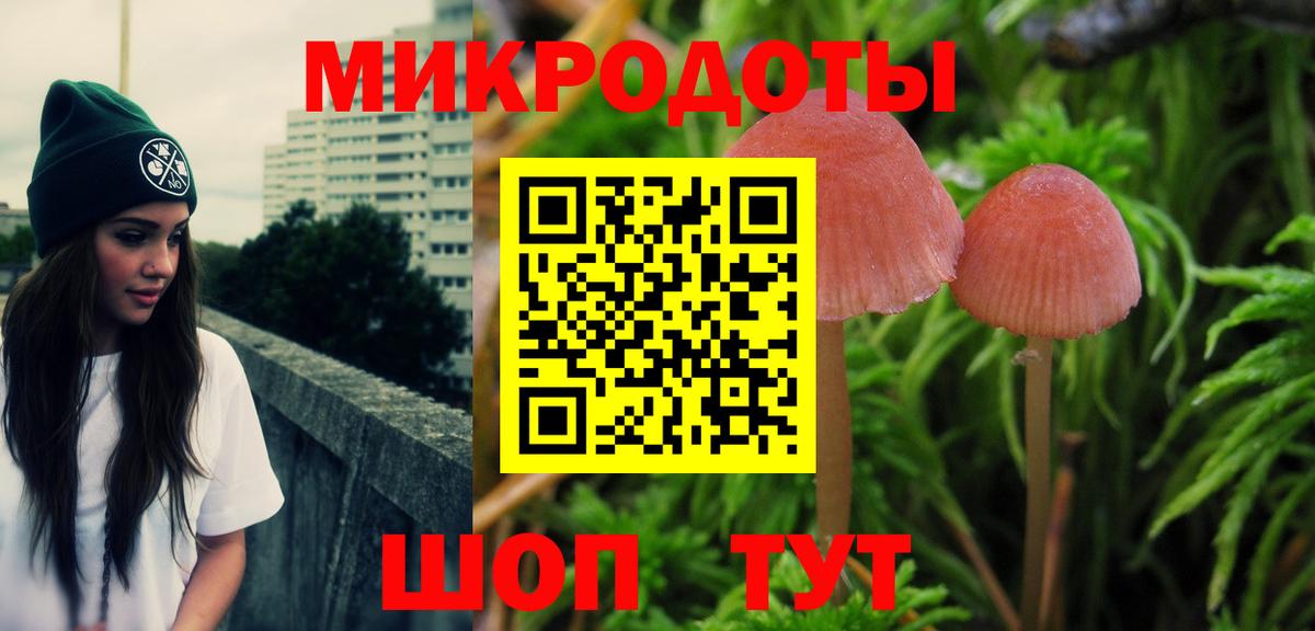 Псилоцибиновые грибы Psilocybe  Галлюциногенные грибы прущие грибы  Родники  где продают наркотики  Вход с VPN 